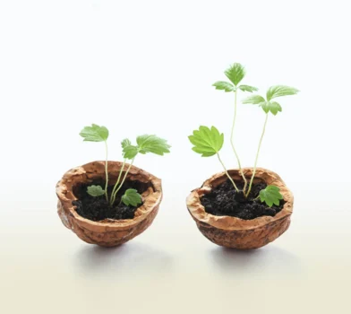 Czy są pieluchy biodegradowalne? Co to jest biodegradacja?