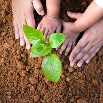 Pieluszki ekologiczne - dlaczego warto w nie zainwestować?