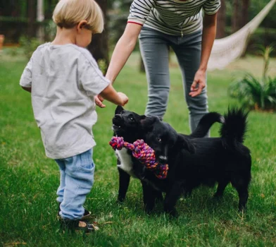 Dziecko i zwierzęta - jak zwierzęta wpływają na rozwój malucha