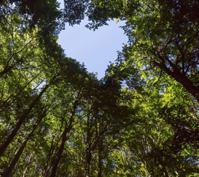Program „Czujesz klimat?” w drogeriach Rossmann – prosty sposób na eko zmiany.