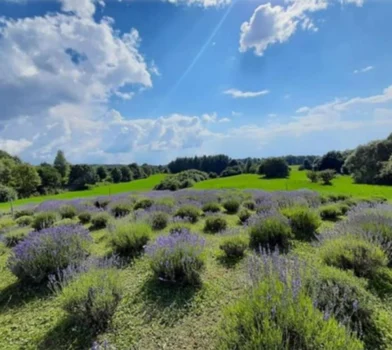 Poznaj 5 miejsc, które koniecznie musisz zobaczyć razem z dzieckiem