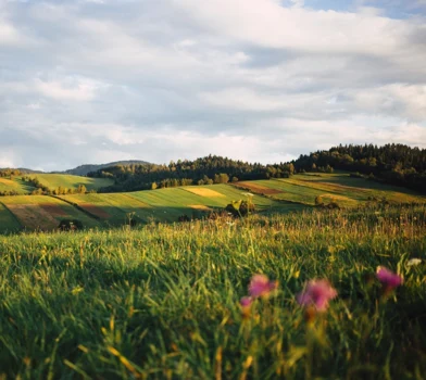 Odkryj 5 pomysłów na rodzinne wakacje
